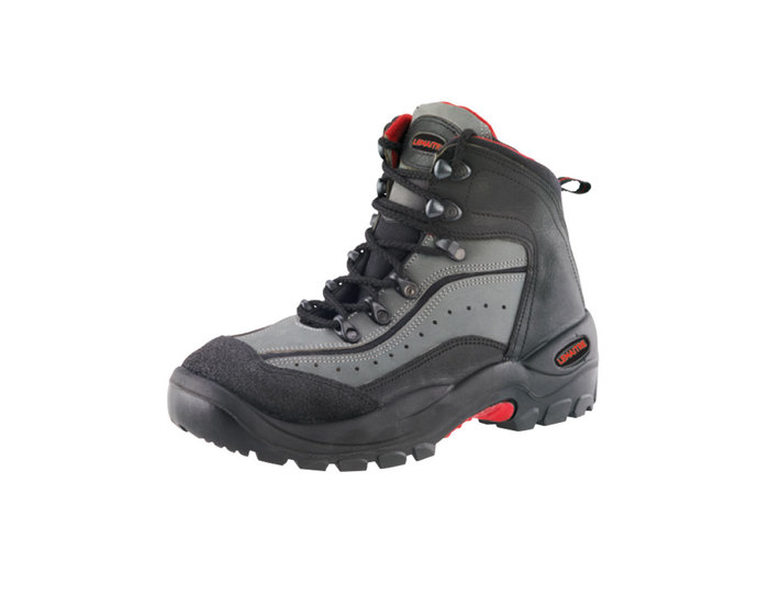 eagle8025